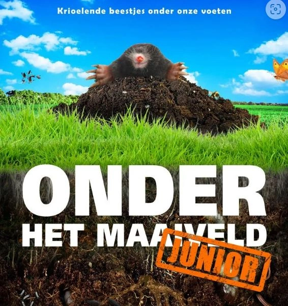 Onder het maaiveld junior film.JPG
